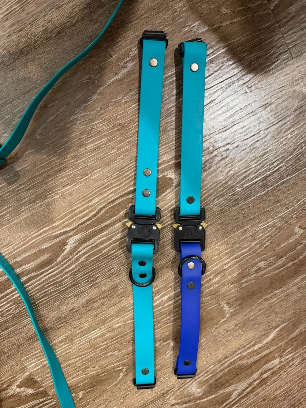Biothane Leash & collars